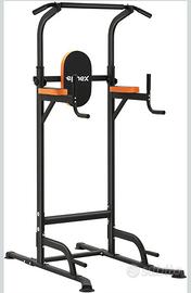 Power Tower- Panca Romana