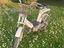 Immagine 1