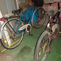Bici da donna e Mountain bike