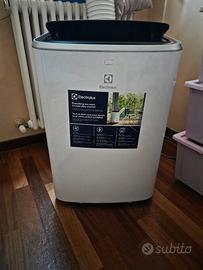 Condizionatore Portatile Electrolux – Come Nuovo!
