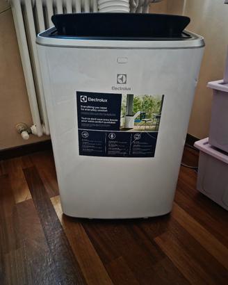 Condizionatore Portatile Electrolux – Come Nuovo!