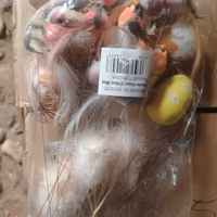 oggettistica per piante e fiori 