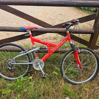 Bicicletta Mountain bike 