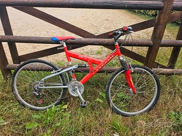 Bicicletta Mountain bike 