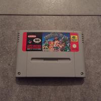 Super adventure island SNES