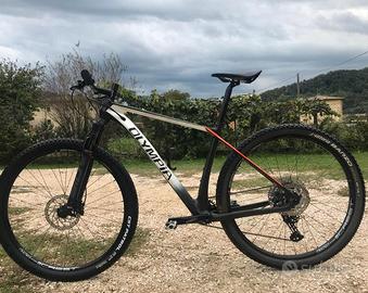 Mountain bike 29" carbonio, cross country, Olympia