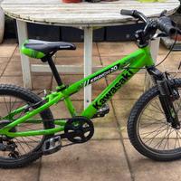 Bicicletta 20