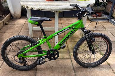 Bicicletta 20