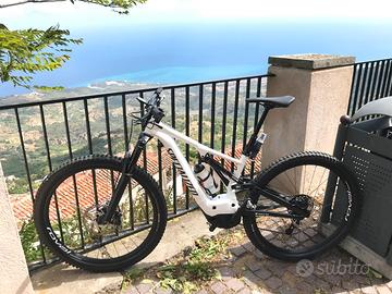 Ebike, E-mtb, Specialized Turbo Levo Comp