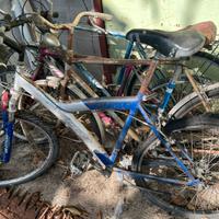 gratis biciclette