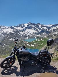 Harley-Davidson Softail Street Bob - 2022