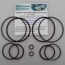 BMW 6 cilindri - kit riparaz./upgrade double VANOS