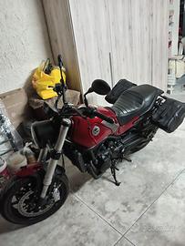 Beverly 500 leoncino