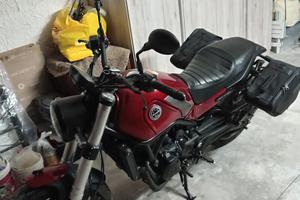 Beverly 500 leoncino