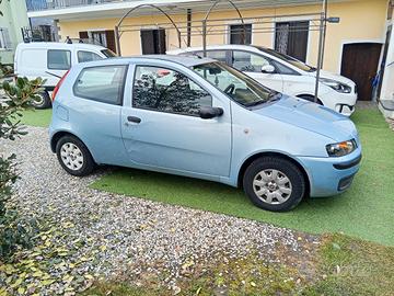 fiat punto 