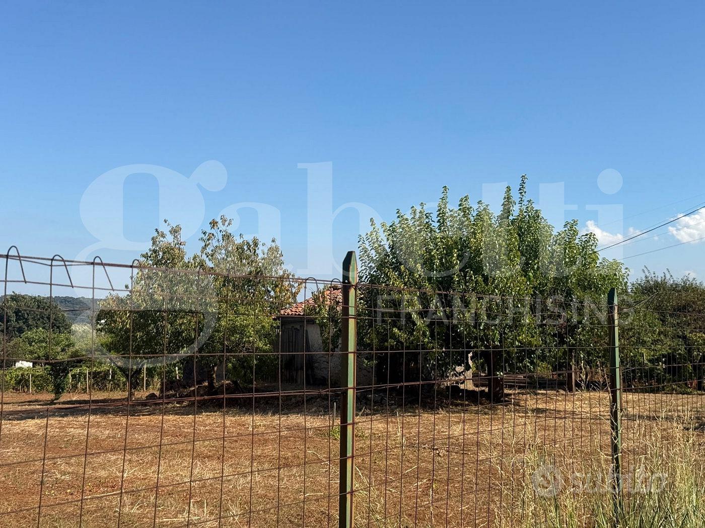 Terreno Agricolo Lamezia Terme - Vista 5