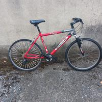 Mountain bike Bianchi