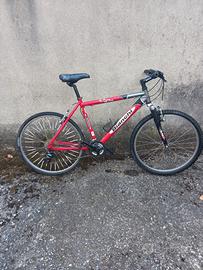 Mountain bike Bianchi
