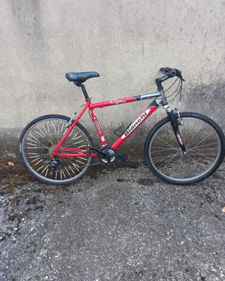 Mountain bike Bianchi