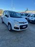 fiat-panda-autocarro