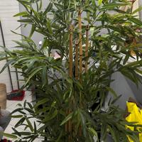Pianta di bambu artificiale