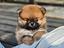 Immagine 1