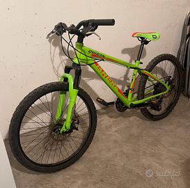 Bicicletta mtb brera oxygen 24”