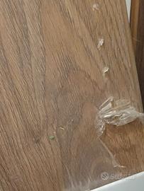 laminato