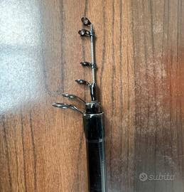 Canna da pesca bolognese