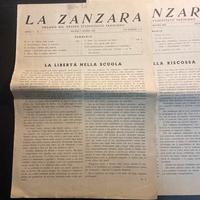 La zanzara pariniano