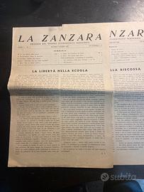 La zanzara pariniano