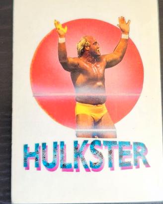 FIGURINA CENTER TV 1991 SUPER STARS OF WRESTLING