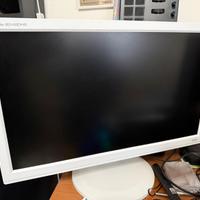 Monitor IIYAMA 24 pollici