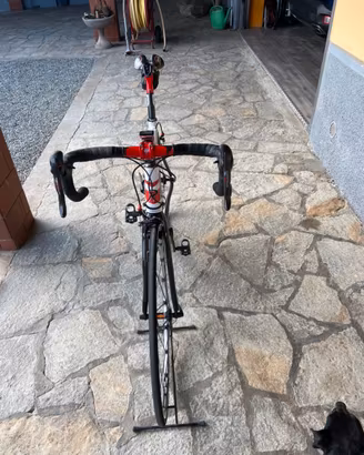 Dogma pinarello