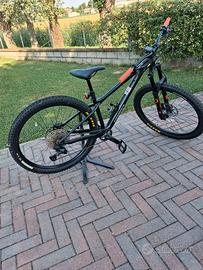 mtb 0rbea 29  lau fey