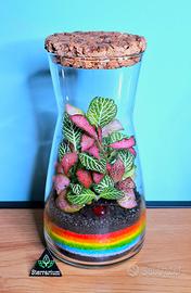 terrarium clessidra 