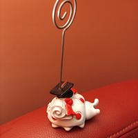 Gadget portafoto laurea
