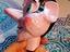 Immagine 4