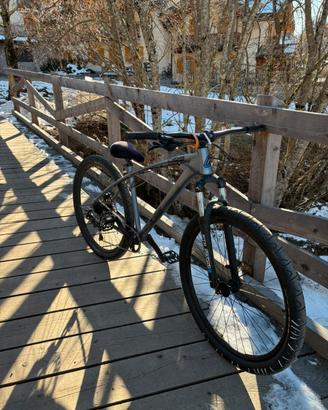 c100 collective bikes