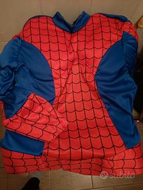 costume Spider-Man