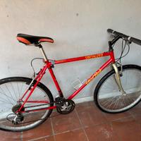 Bici edizione limitata