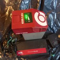 batteria e caricabatteria per decespugliatore 