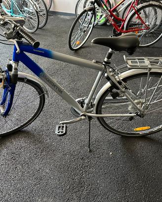 Bici da uomo
