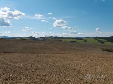 Azienda agricola di 290 ha Pisa