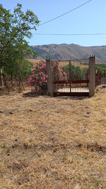 Terreno mille e 600 metri