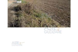 Terreno Agricolo Bagnolo San Vito [A4339935]