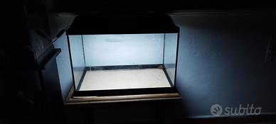 Aquario/terrario 40x30
