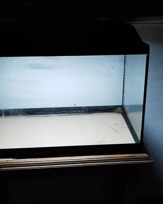 Aquario/terrario 40x30