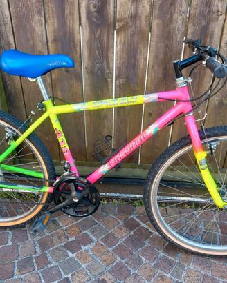 Bicicletta tipo MTB Carraro mis.adulto - ruote 26"
