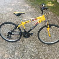 bicicletta MTB da 26 